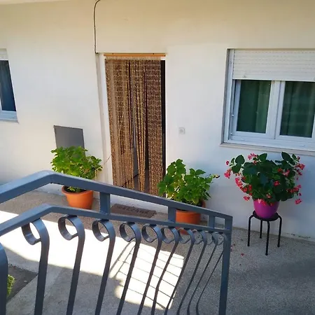 Olive Tree Apartment