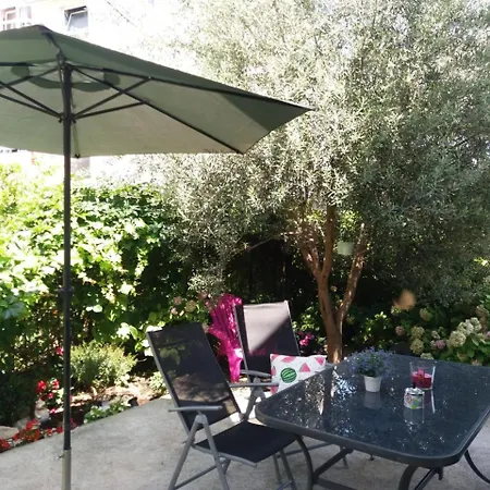 Olive Tree سبليت
