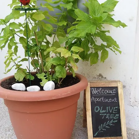 Apartamento Olive Tree *